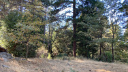 img_9796.jpeg