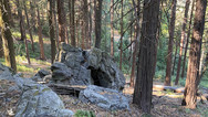 img_9834.jpeg