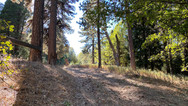 img_9802.jpeg