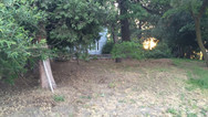 mtnview962b-8.jpeg