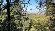img_9797.jpeg