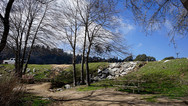 dsc1739.jpg