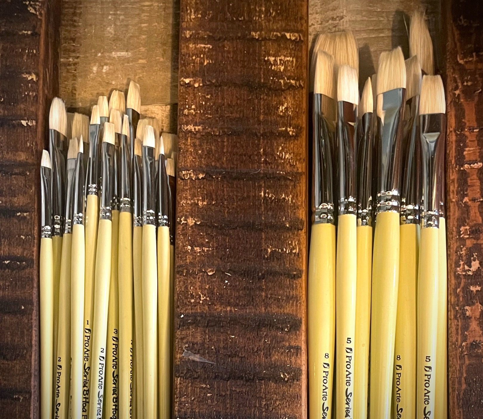 Pro Arte Hog Series B Flat