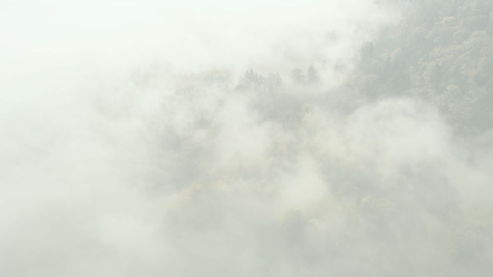 Header_Background (1).jpg