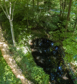 6855 Haviland Mill Road -Drone19.jpg