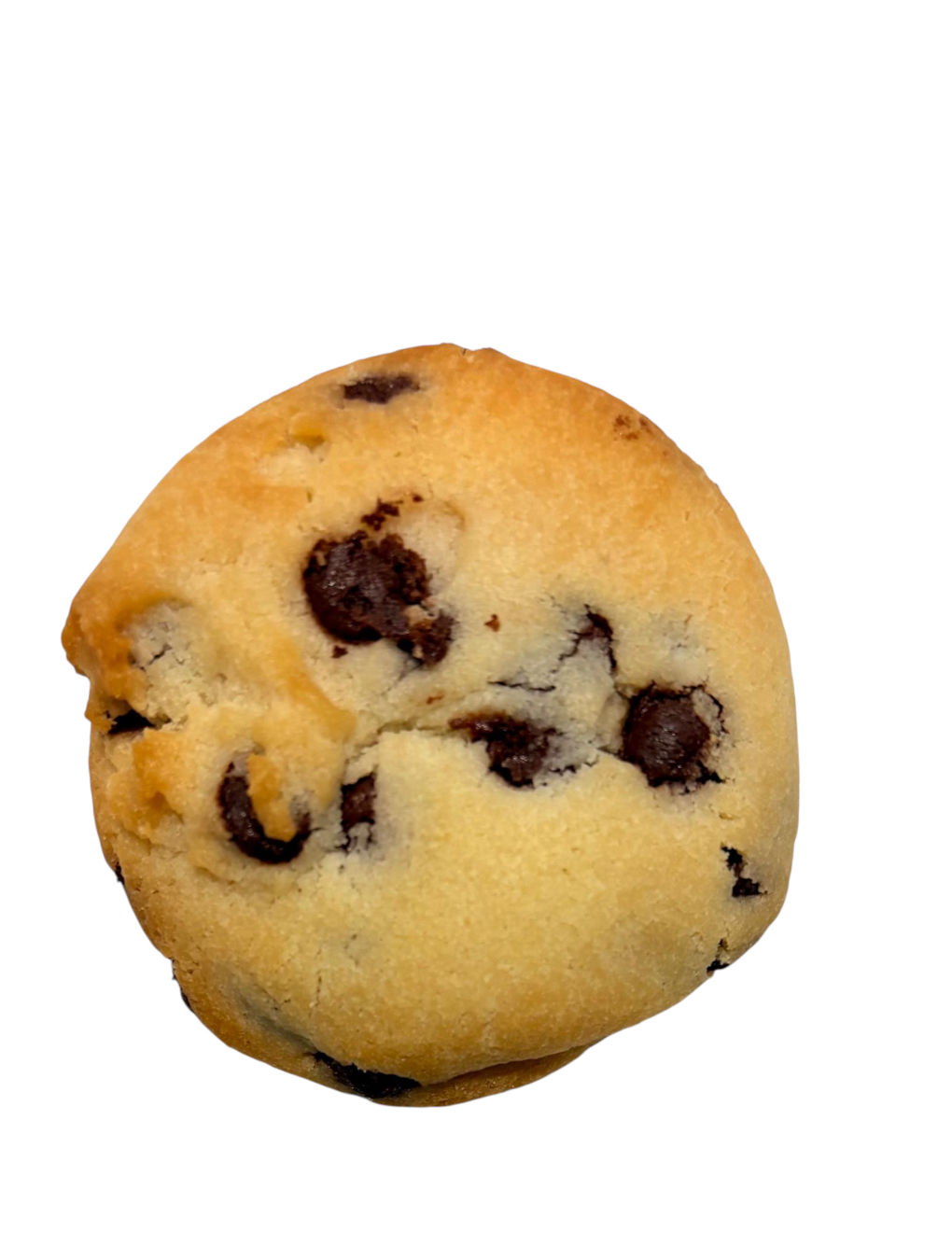 CHOCOLATE CHIP BISCOTTI