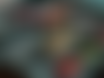 Essential Fishing Gear Every Angler Needs