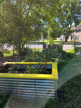 Deep bed in foreground with yellow. 