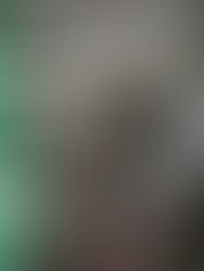 New Favorite Journal!