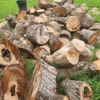 a kind soul with a really big chainsaw cut them down