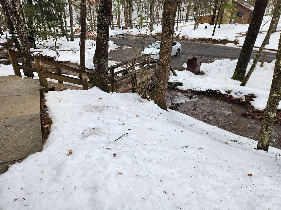 Cute lil babbling brook in front.