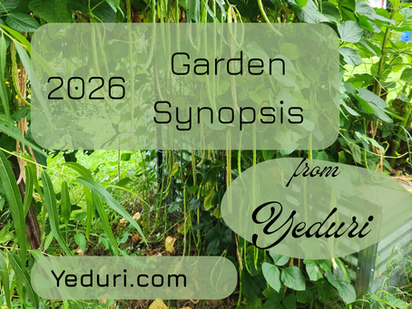 2025 Garden Synopsis