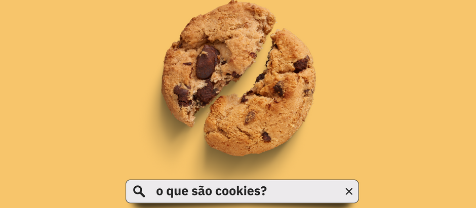 O que são os cookies que fazem captação de informações dos usuários?
