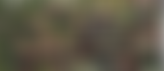 Jornada Cultural | Inhotim - Mais do que um museu, um estilo de vida!