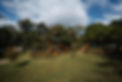 Quintal