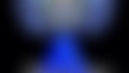 痛悼殉职警察,严守社会秩序 ——维州华人社团联合会致会员社团和华人社区公开信