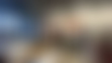 疫情挡不住大爱与担当--维州华人社团联合会抗疫小记