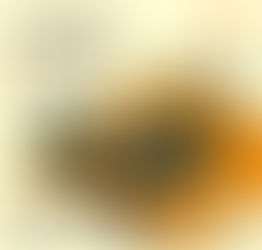 2023年4月22日　特選中古建機即売会【市原営業所】開催のお知らせ