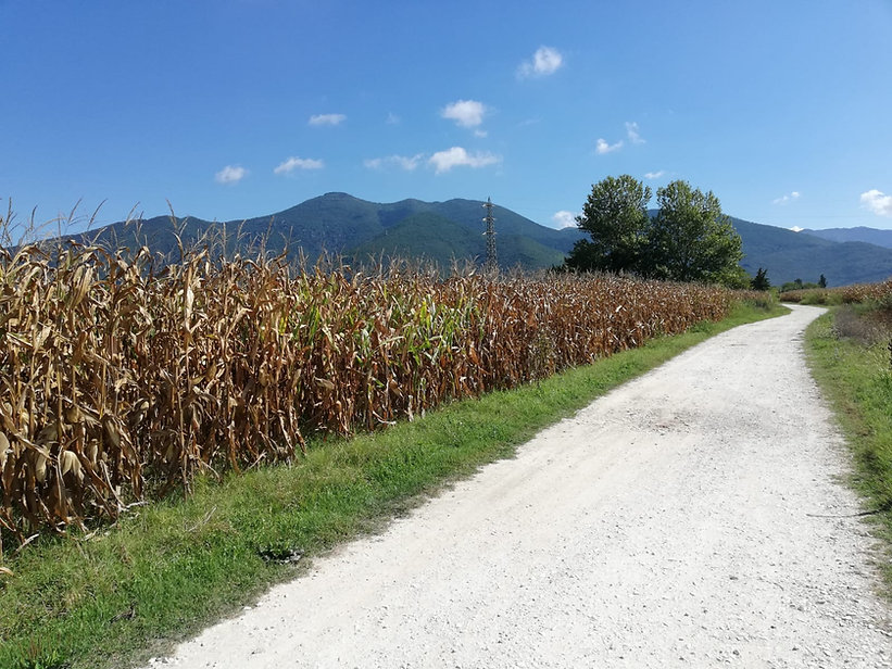 trekking a nord di Pisa