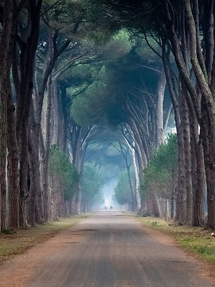 Parco Regionale Migliarino San Rossore Massaciuccoli (Pisa) - 2018 O que saber antes de ir Parco Regionale Migliarino San Rossore Massaciuccoli (Pisa) - 2018 O que saber antes de ir
