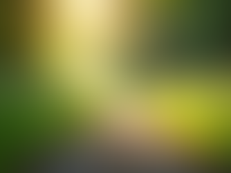 Selma Blair's Inspiring Health Transformation Shocks Fans After Years of MS Struggles