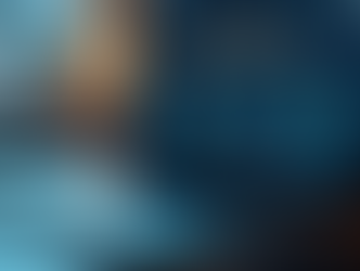 IT business economists