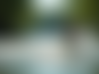 Surfing in the Heart of Munich: Unveiling the Secrets of the Englischer Garten