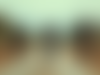 Mexico Intensifies Military Presence Amid Surge in Violence Following Drug Lord's Death