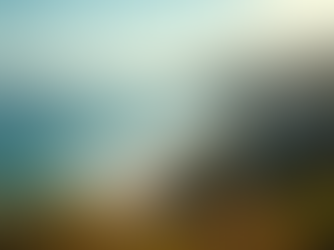 Discover the Joy of Traveling and House Sitting by Organizing Meetups to Make New Friends!