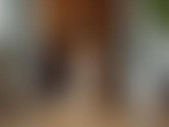 Stay for Free with Adorable Animals in Unique Homes Worldwide and Discover the Joy of Cozy Companionship