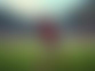 Impact of Jamal Musiala's Absence on Germany’s Nations League Strategy Following Bayern Munich's Request