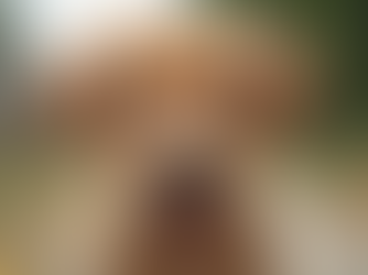 Celebrate your favorite furry friends with heartwarming stories and cute pet pics, we want them all! Find advice on pet products and share your tips on care and training with our community of pet peop