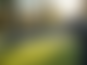 Innovative Approaches to Digital Inclusion: Navigating Complexities of Equity and Connectivity