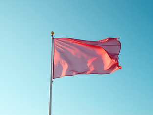 China's Response to Germany's Microphone Diplomacy and the Arrival of Afghan Refugees