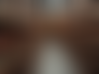 Transforming Students into Legal Professionals: The Role of Law Faculty in Legal Education