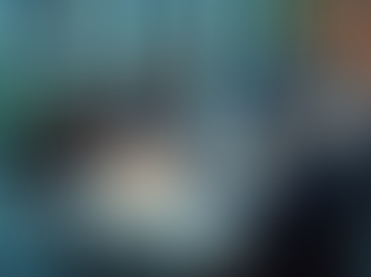 Business economist Technical