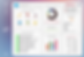 OVERVIEW copia.png