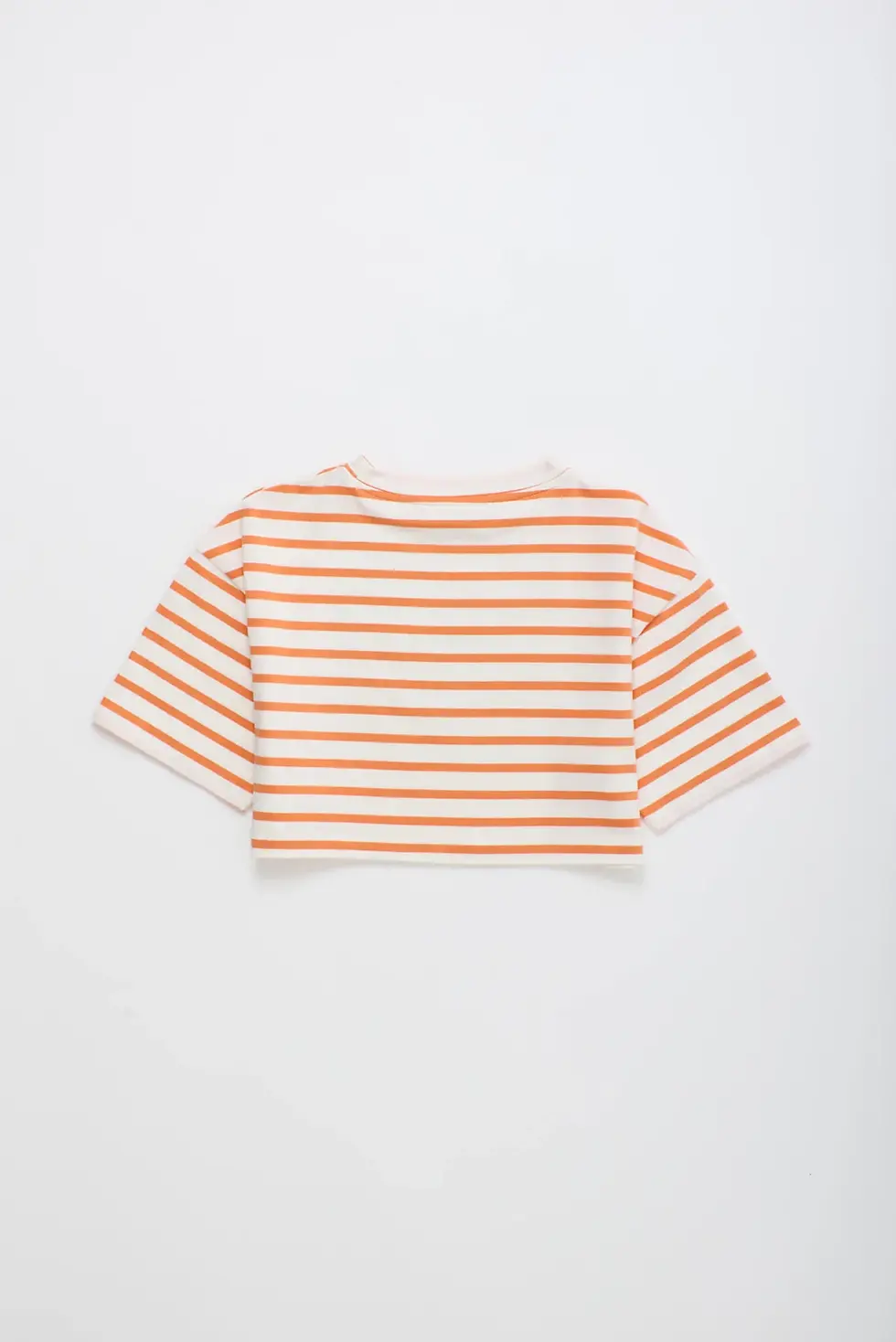 Thumbnail: Birds Striped Crop Top