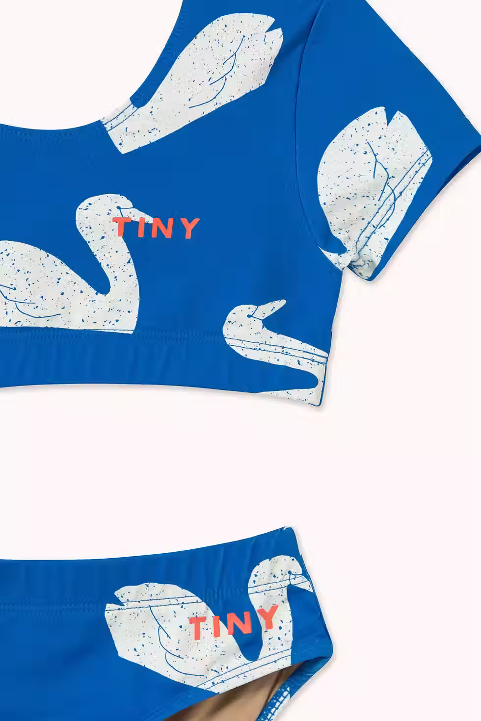 Thumbnail: Big Swans Swim Set