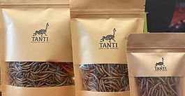 Historias Mexiutópicas: Tanti Entomology
