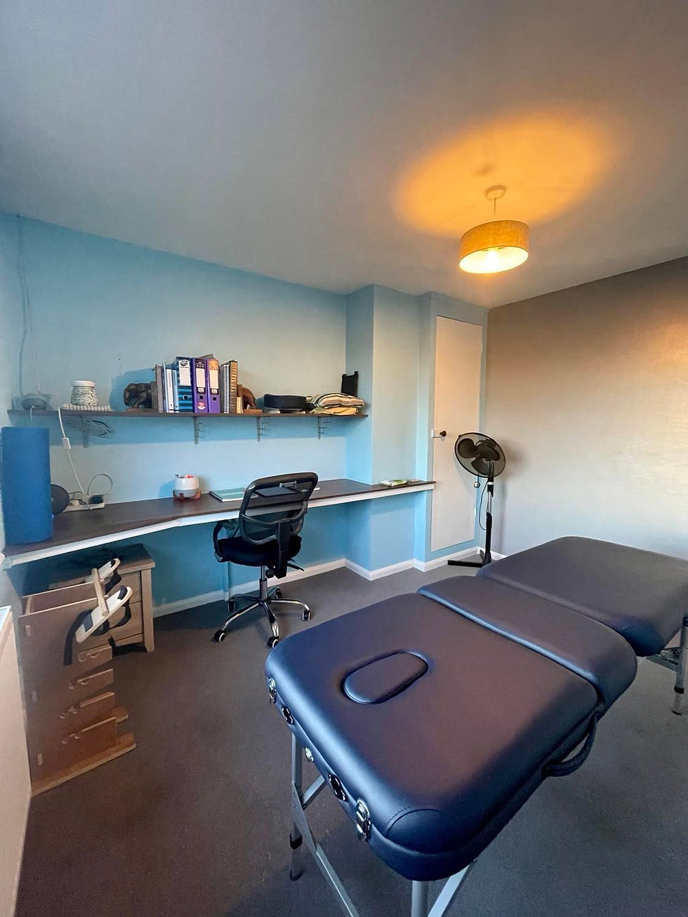 The Therapy Room