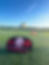PLL Omni Banner with Omni.HEIC