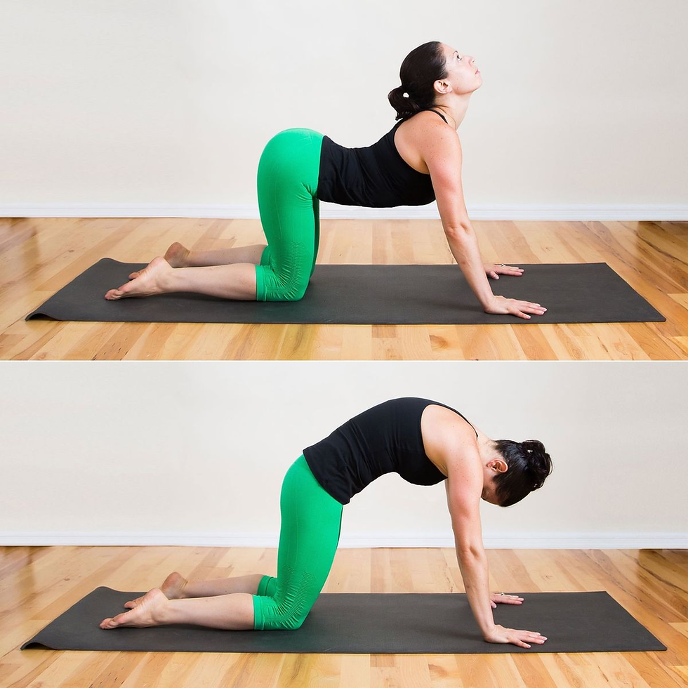 Cat-Cow yoga pose