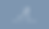 White Logo Grey bckgrnd.png