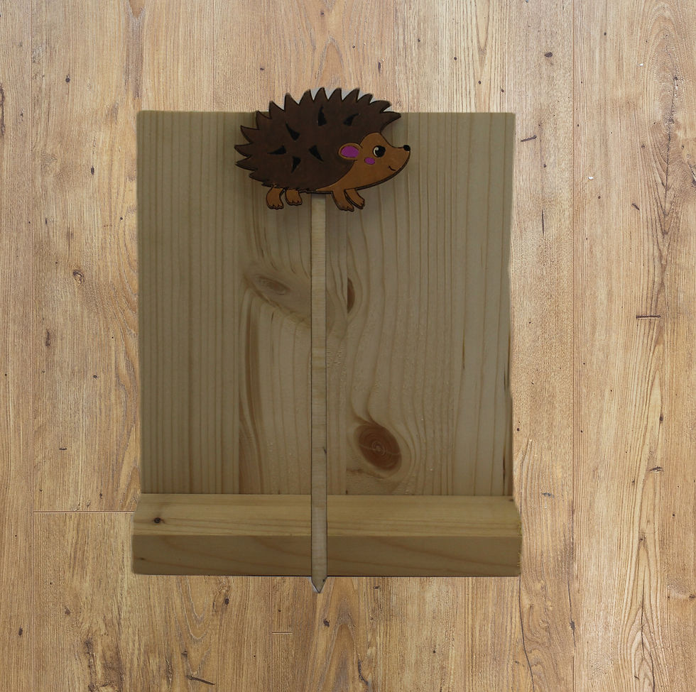 Pics motif hérisson pour pots de fleur