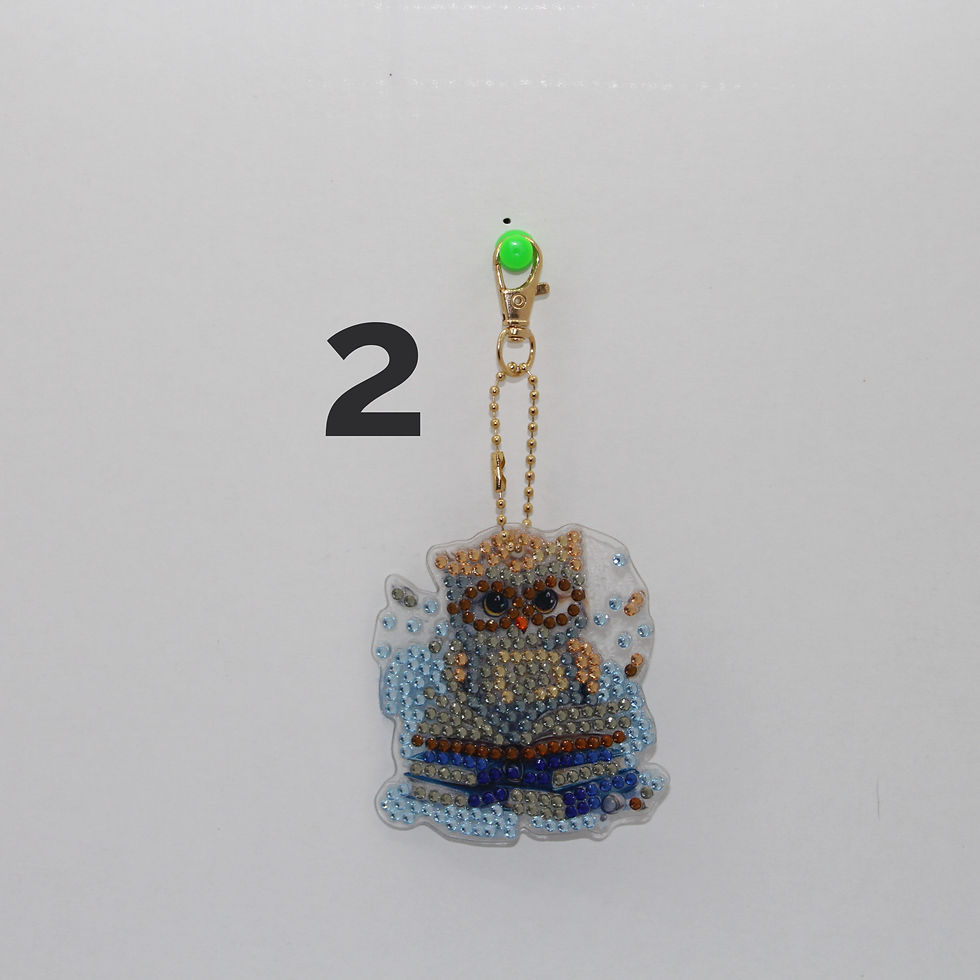 porte clés Diamonds painting hibou double face