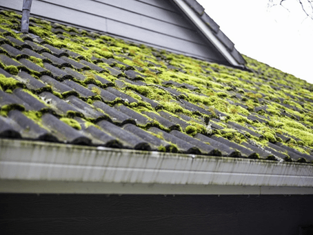 Features of Gutter Guards : A Comprehensive Look at 5 Essential Benefits