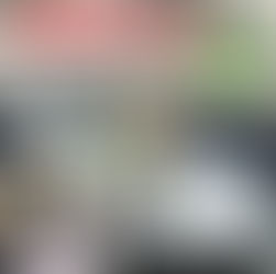 NOTIZIA SHOCK ALLA FINE