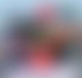 ULTIMO VOLO DEL 2022