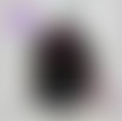 NELLA BORSA DELL’ASSISTENTE DI VOLO 2025